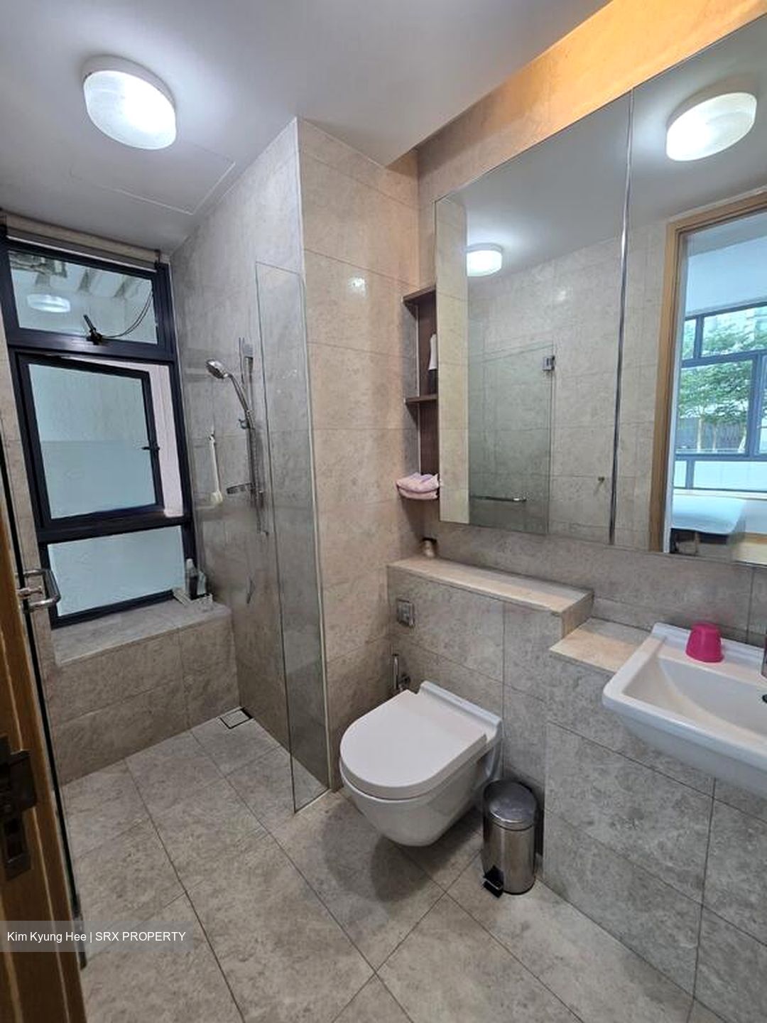 Soleil @ Sinaran (D11), Condominium #460999331